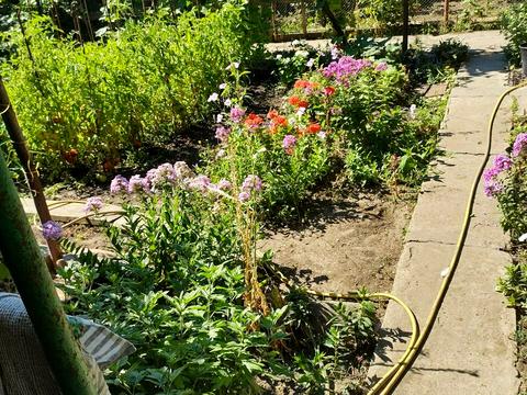 будинок за адресою Академіка Гаркавого вул. (Житомирська)