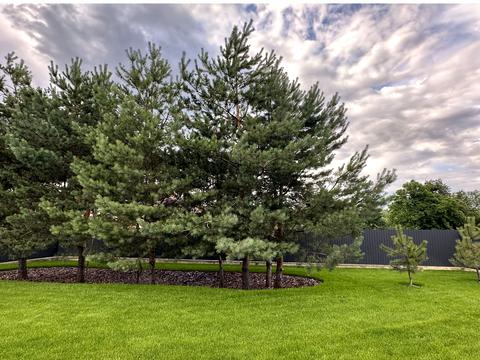 будинок за адресою с. Ходосівка, Богдана Хмельницького вул.