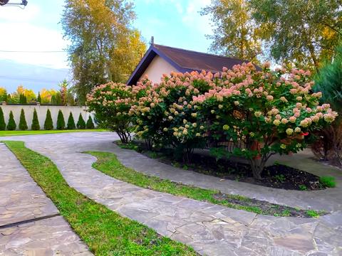 будинок за адресою Центральна вул.