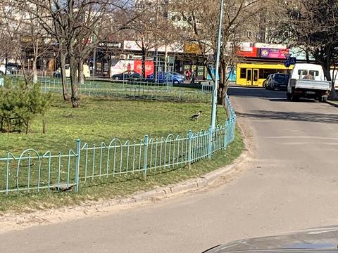 квартира за адресою Рональда Рейгана вул., 11-А