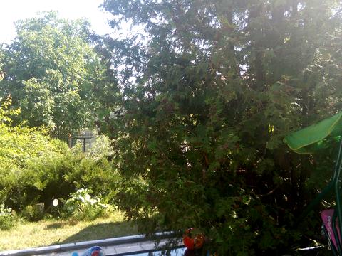 дом по адресу Рибальська