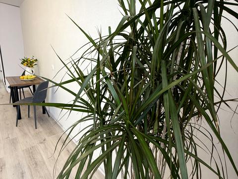 квартира по адресу с. Святопетровское,  ул., 1
