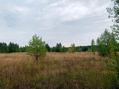 ділянка за адресою Чапаева