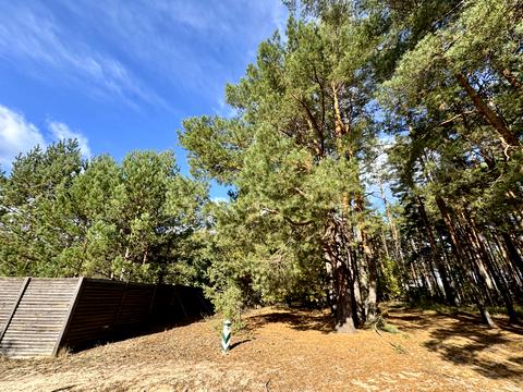 ділянка за адресою Чубаря