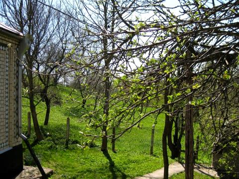 будинок за адресою Лісова, 1