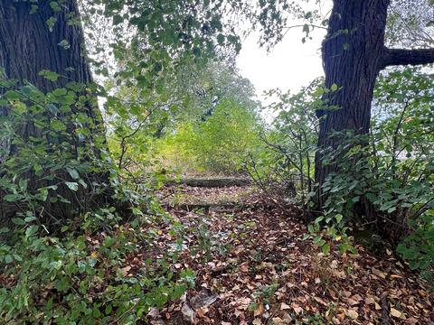 ділянка за адресою 