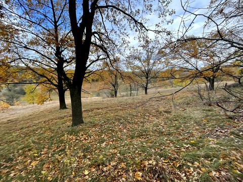ділянка за адресою с. Великі Дмитровичі, 