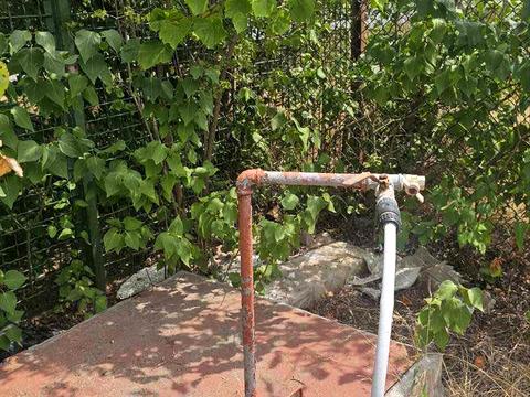 ділянка за адресою Центральна, 123