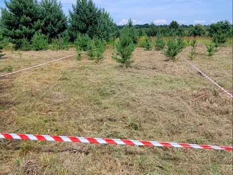 ділянка за адресою 