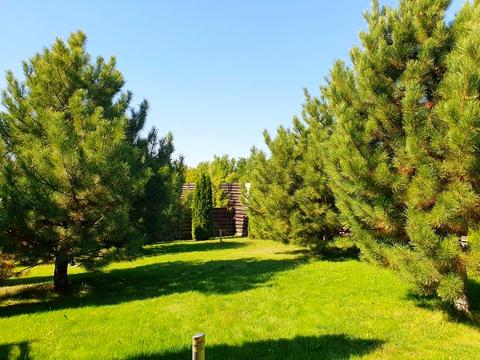 будинок за адресою с. Новоолександрівка, Нова