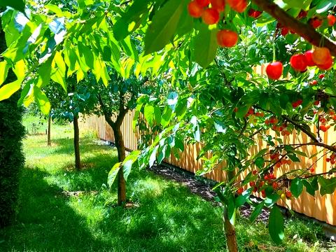 будинок за адресою с. Мархалівка, Михайла Грушевського