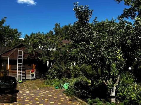 будинок за адресою Курортна