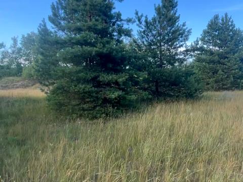 ділянка за адресою с. Китайгород, 