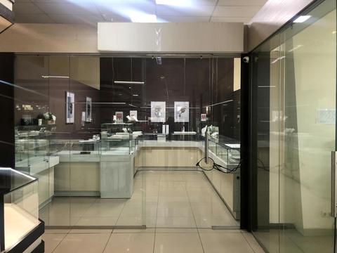 комерційна за адресою Митрополита Василя Липківського вул. (Урицького), 1