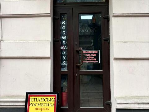 коммерческая по адресу Левицкого ул. (Маяковского), 11