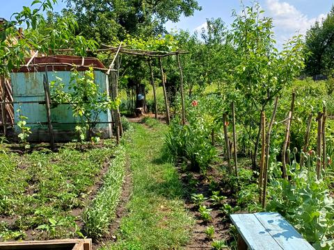 участок по адресу Белопольское ул.