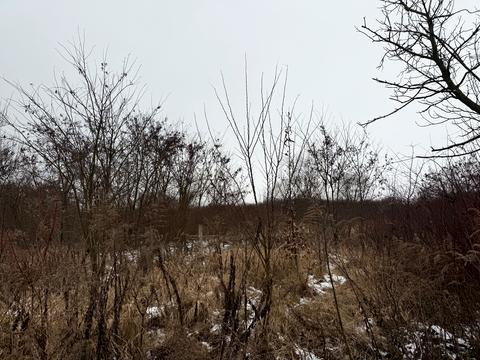 ділянка за адресою Озерна вул., 88