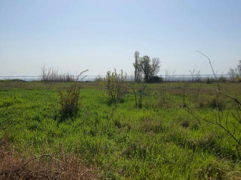 ділянка за адресою  Кароліно-Бугаз, Кароліни Сибанської вул., 5