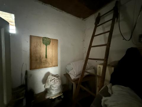 будинок за адресою с. Нижнє Солотвино, Без назви, 111