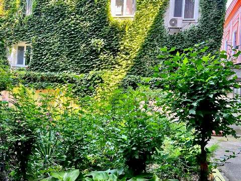 квартира за адресою Святослава Караванського вул. (Жуковського), 16