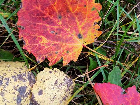 ділянка за адресою Середня, 14