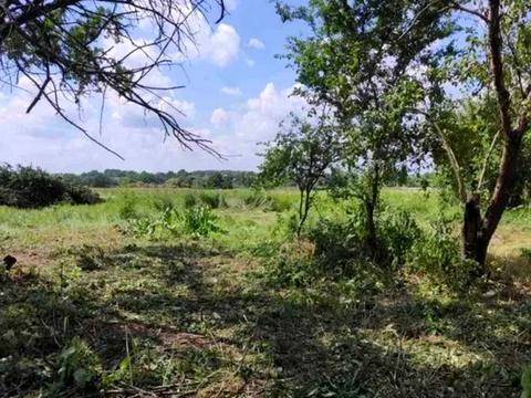 участок по адресу с. Микуличи, Ворошилова