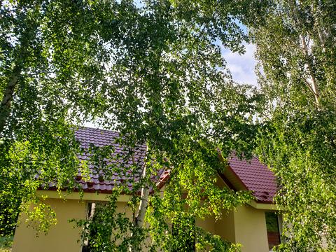 будинок за адресою Лайнер