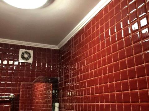 коммерческая по адресу Каменецкая ул., 52