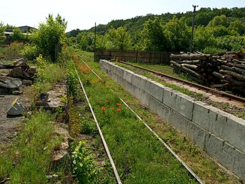 комерційна за адресою Людмили Борисової, 1
