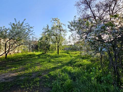 участок по адресу провулок Митьківський