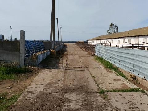 коммерческая по адресу Белгород-Днестровский, Белгород ул., 1
