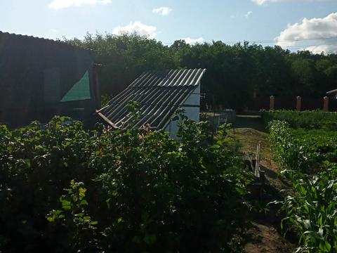 ділянка за адресою Садова