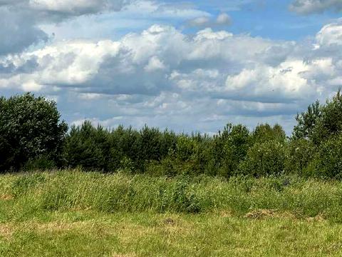 ділянка за адресою с. Паланки, 
