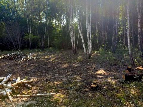 ділянка за адресою Михайла Зорія