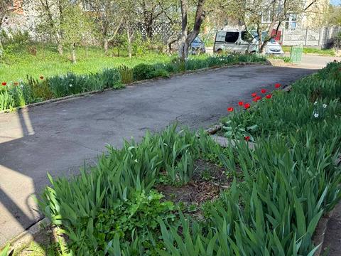 дом по адресу Миколи Штена