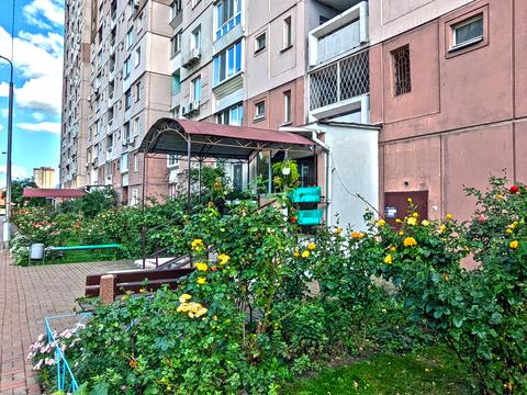 квартира за адресою Олени Пчілки вул., 2-Б