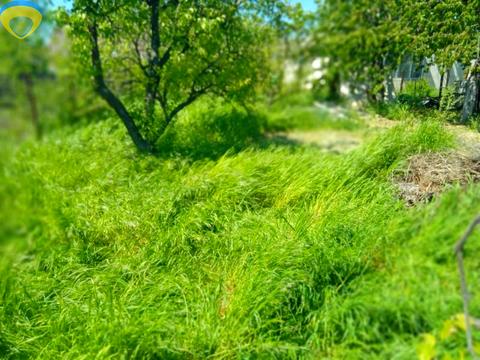 будинок за адресою Левітана вул.