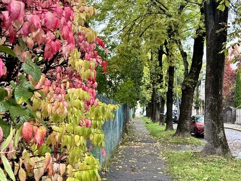 квартира за адресою Володимира Антоновича вул. (), 97
