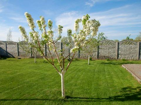 дом по адресу Героев Днепра ул.