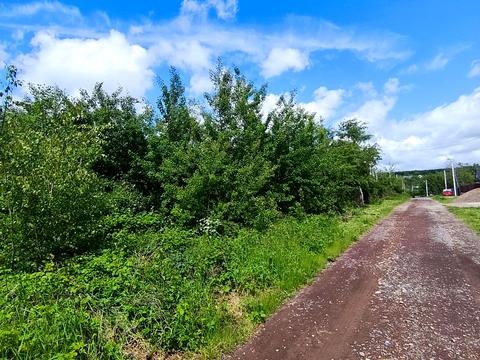 ділянка за адресою Виноградна