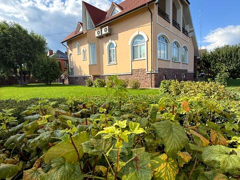 будинок за адресою Яблунева, 33