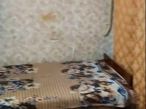 квартира по адресу Гарина ул., 20