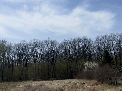 дом по адресу садова, 11