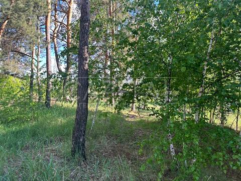 ділянка за адресою Лугова вул., 30-Б