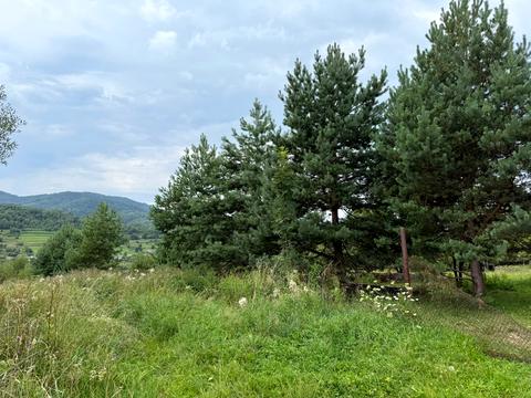 будинок за адресою Головна