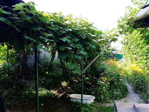 участок по адресу Евгения Патона ул., 8