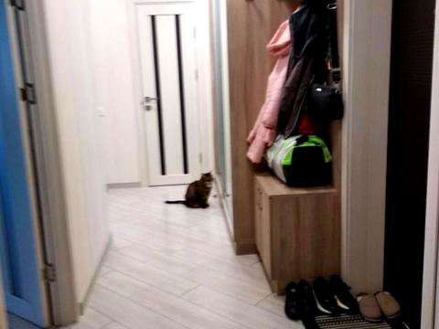 квартира за адресою Марсельська вул., 60