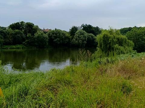 ділянка за адресою с. Іванковичі, Окружна