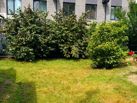 ділянка за адресою Павленка вул.