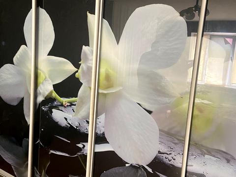 квартира за адресою Симона Петлюри вул. (Черняховського)